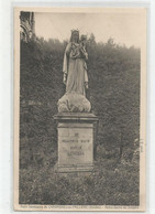 85 Vendée Petit Séminaire De Chavagnes En Paillers Vierge Notre Dame Du Sceptre  Ed Photo Maurice Chrétien D'angers - Other & Unclassified