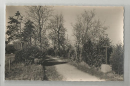 85 Vendée Chaille Les Marais Maison De Retraites De L'immaculée Allée Du Parc Chemin De Croix Ed Studio Lollier De Légé - Chaille Les Marais