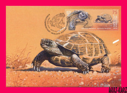 KYRGYZSTAN 2019 Nature Fauna Animals Reptiles Amphibians Turtle Mi KEP133 Maxicard Maximum Card - Schildpadden