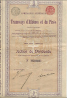 COMPAGNIE GENERALE DES TRAMWAYS D'ATHENES ET DU PIREE -ACTION DE DIVIDENDE -ANNEE 1906 - Ferrovie & Tranvie