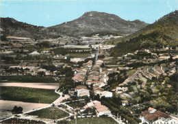 / CPSM FRANCE 83 "La Roquebrussanne, Vue Panoramique" - La Roquebrussanne