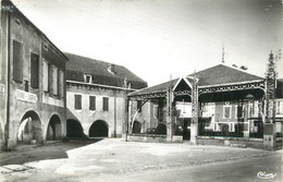 / CPSM FRANCE 82 "Bourg De Visa, La Halle Et Les Arcades" - Bourg De Visa