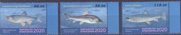 2020. Kyrgyzstan, Fauna Of Kyrgyzstan, Fishes, 3v Perforated, Mint/** - Kirgisistan