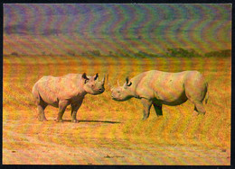 A1747 - TOP Nashorn - Planet Verlag DDR - Rhinozeros