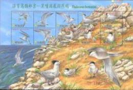 Taiwan 2002 Conservation Of Bird Stamps Sheetlet Crested Tern Fauna Rock Migratory Birds - Blocks & Sheetlets