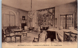 37 METTRAY - Château De La Ribellerie - Le Grand Salon  * - Mettray