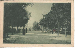 Roma - Pincio - Viale - 1908 - Parchi & Giardini