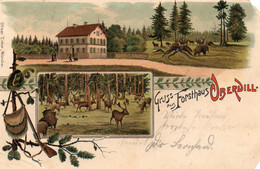 Delcampe - DC5820 - Ak Schöne Litho Oberdill Gruss Aus Forsthaus Oberdill - Starnberg
