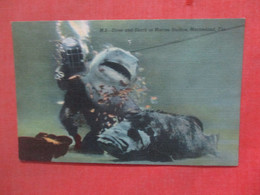 Diver & Shark At Marine Studio Marineland   Has Pin Hole  Florida   Ref 4811 - Bradenton