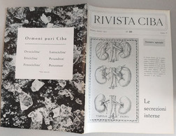 RIVISTA  DI MEDICINA CIBA  -   SECREZIONI INTERNE N. 28 ( CART 77) - Gezondheid En Schoonheid