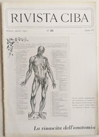 RIVISTA  DI MEDICINA CIBA  - RINASCITA ANATOMIA N. 25 ( CART 77) - Santé Et Beauté