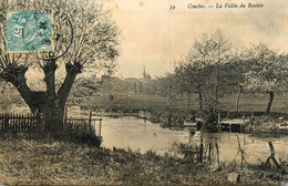 Conches * 1906 * La Vallée Du Rouloir * Arbre - Conches-en-Ouche