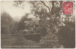 England – Esperanto – Sheffield – Entrance, Encliffe Woods – A Stamp 1 Penny – Year 1920 - Sheffield