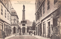 Chambéry         73       Fontaines Des Eléphants  Rue De Boigne       (voir Scan) - Chambery