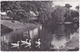 Lochem, Stadsgracht Westerwal - Lochem