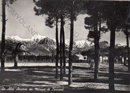 CARTOLINA  LE ALPI APUANE DA MARINA DI CARRARA,MASA,TOSCANA,MONTAGNA,SCIARE,REFUGIO,FUNIVIA,NON VIAGGIATA - Massa