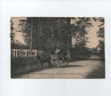 CPA -   Villemeux  -(E.-et-L.) - Entrée Du Pays - Vannage Sur L'Eure   -( Ane ) - Villemeux-sur-Eure