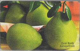 CARTE-MAGNETIQUE-VIET NAM-1999-GRAPEFRUIT-BE-Leger Condolement - Alimentation