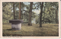 Doorn, Stenen Tafel Kaapse Bos (links Boven Knik) - Doorn