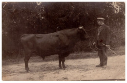 Farmer With A Bull Champion VINTAGE 1918 - Paysans