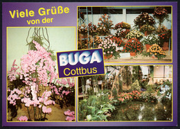 E9411 - TOP Cottbus BUGA - Bild Und Heimat Reichenbach Qualitätskarte - Cottbus