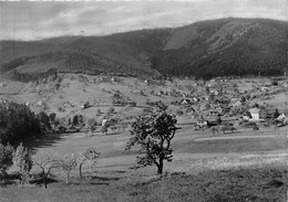 67-WANGENBOURG- LA SUISSE D'ALSACE, VUE SUR LE SCHUCEBERG - Sonstige & Ohne Zuordnung