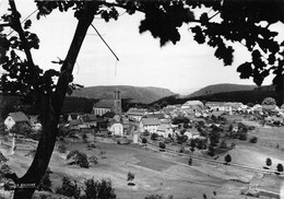 67-WANGENBOURG- LA SUISSE D'ALSACE, VUE GENERALE - Sonstige & Ohne Zuordnung