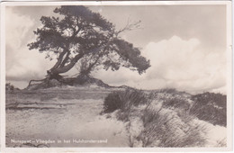 Nunspeet, Vliegden In Het Hulshorsterzand - Nunspeet