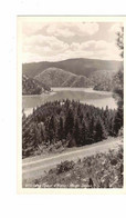 North Idaho, USA, "Lake Coeur D'Alene", Pre-1951 Real Photo Postcard - Otros & Sin Clasificación