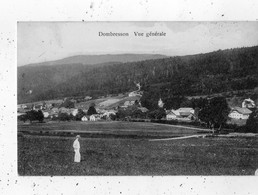 DOMBRESSON VUE GENERALE - Dombresson 