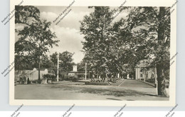 1000 BERLIN - FRIEDRICHSFELDE, Eingang Zum Tierpark / Zoo, 1955 - Hohenschönhausen