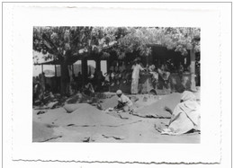 Mercato Delle Stuoie Mogadiscio Foto  - Colonialismo Italiano Anno 1951 - - Krieg, Militär