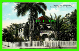 FORT MEYERS, FL - FISH TAIL PALM IN GROUNDS OF A PRIVATE RESIDENCE - PUB NY THE H. & W.B. DREW CO - - Fort Myers