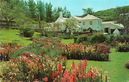 ~~ Bermuda - Southampton - The Garden At Waterlot Inn - Bermuda