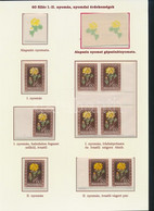 **, (*) 1950 Virág 9 Db 60f és 3 Db Alapnyomat, Közte Vágott, Elfogazás, ívközéprész, Stb., Kiállítási Lapon - Andere & Zonder Classificatie