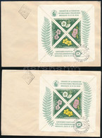 1958 FIP Virág Blokk 2 Különböző Fogazással 2 Db FDC-n (22.000) - Other & Unclassified