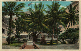HONOLULU  Hawaii    Banyan Tree And Coconut Palms, Moana Hotel - Honolulu