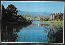 U.S.A. - SANTA BARBARA  BIRD REFUGE - VIAGGIATA 1985 - Santa Barbara