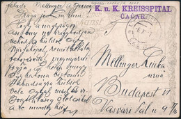 1917 Tábori Posta Képeslap "K.u.k. KREISSPITAL CACAK" - Otros & Sin Clasificación