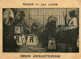 Circus * Cirque ANCILLOTTI PLEGE * ROSAR Et Ses Lions * Cirque Dompteur - Cirque