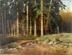 Mednyánszky Jelzéssel: Erdei Patak. Olaj, Vászon. Javított. 60x80 Cm - Other & Unclassified