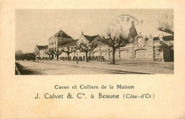 Beaune * Caves Et Celliers De La Maions J. CALVET & Cie * Vin Viticulteur Domaine - Beaune