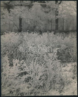 Cca 1932 Kinszki Imre (1901-1945) Budapesti Fotóművész Hagyatékából, Pecséttel és Aláírással Jelzett Vintage Fotó (Rauhr - Andere & Zonder Classificatie