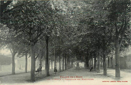 Limoux * La Promenade Des Marronniers - Limoux