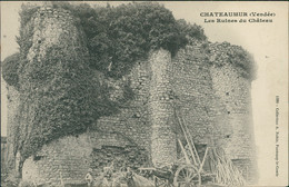 85 CHATELLIERS CHATEAUMUR / Les Ruines Du Château / - Otros Municipios