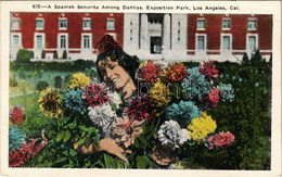 T2 Los Angeles (California); A Spanish Senorita Among Dahlias, Exposition Park - Non Classificati