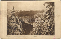 T4 1917 Cheremosh-völgy A Kárpátokban Télen / Czeremosztal Karpathen / WWI K.u.K. Military, Ceremus Valley In The Carpat - Zonder Classificatie