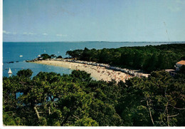 ILE DE NOIRMOUTIER  (FRANCIA) - Pays De La Loire