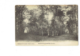 Cpa - 78 - Magnanville - MANTES - Foret Chemin Tunnel - Collection G.-W. LEMAIRE - Magnanville