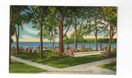 Clearwater, Florida, USA, "Clearwater Beach From Clearwater Beach Hotel...". Old Linen Postcard - Clearwater